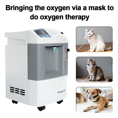 Veterinary Oxygen Concentrators: Reliable High-Flow Oxygen Solutions For Pet ...
