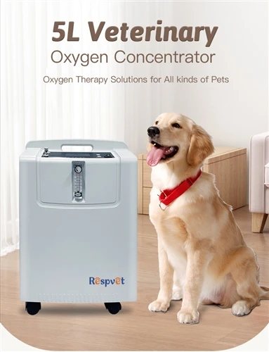 Veterinary Oxygen Concentrator JAY‑5KW: Professional Procurement Guide For Ru...