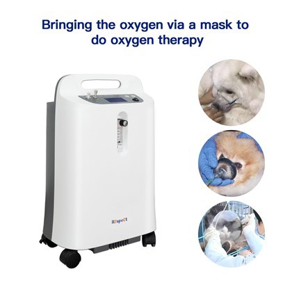High Quality Veterinary Icu Pet Oxygen Cage For 5l Oxygen Concentrator