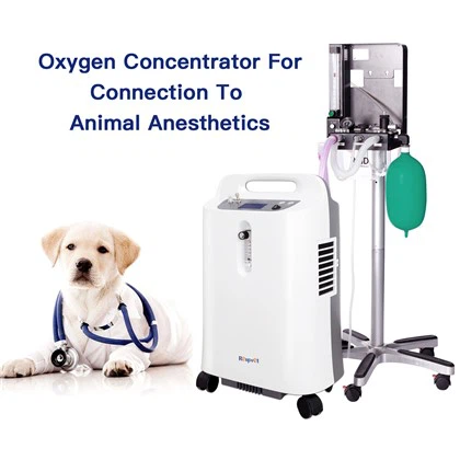 PSA Home Medical Portable 5Lpm Continuous Flow Oxygen Generator Machine Mobile 5 Liter Atomization Oxygene Concentrator