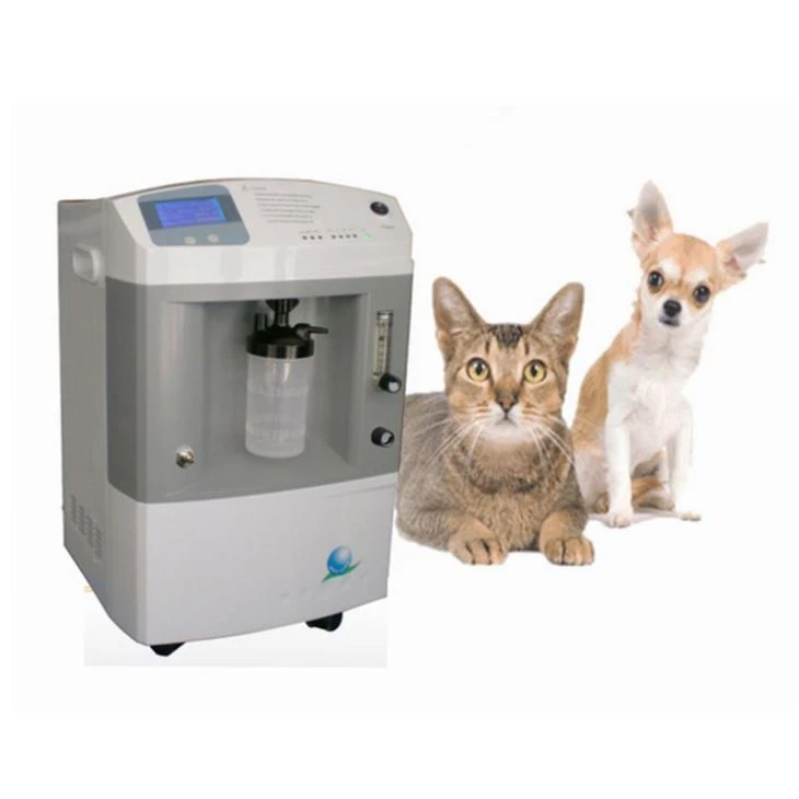 Hot Sale 10LPM Pet Oxygen Concentrator