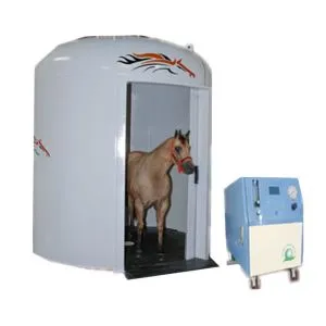 Animal Used High Pressure Oxygen Generator