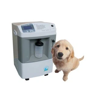 Animal Oxygen Concentrator 10 Lpm For Dog