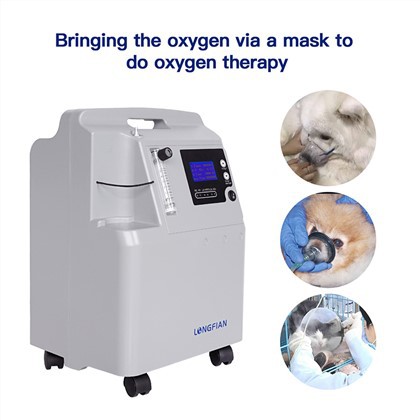 Longfian JAY-5AW 5L Oxygen Concentrator Portable