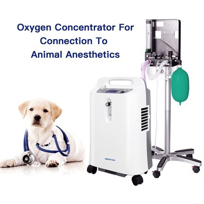 Veterinary Oxygen Concentrator For ICU Chamber